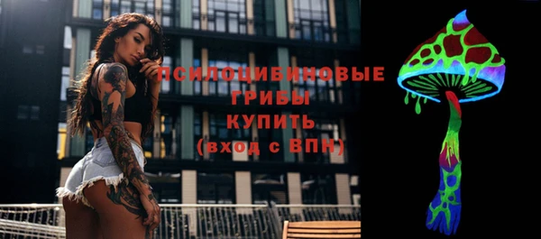 Альфа ПВП Дмитров