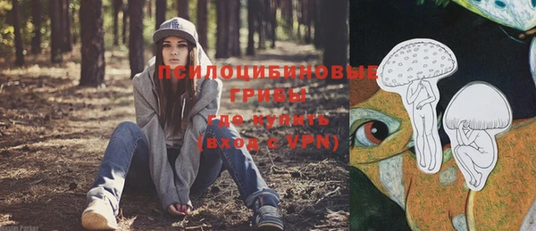 Альфа ПВП Дмитров
